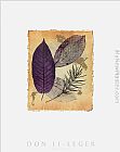 Leaf Lines II